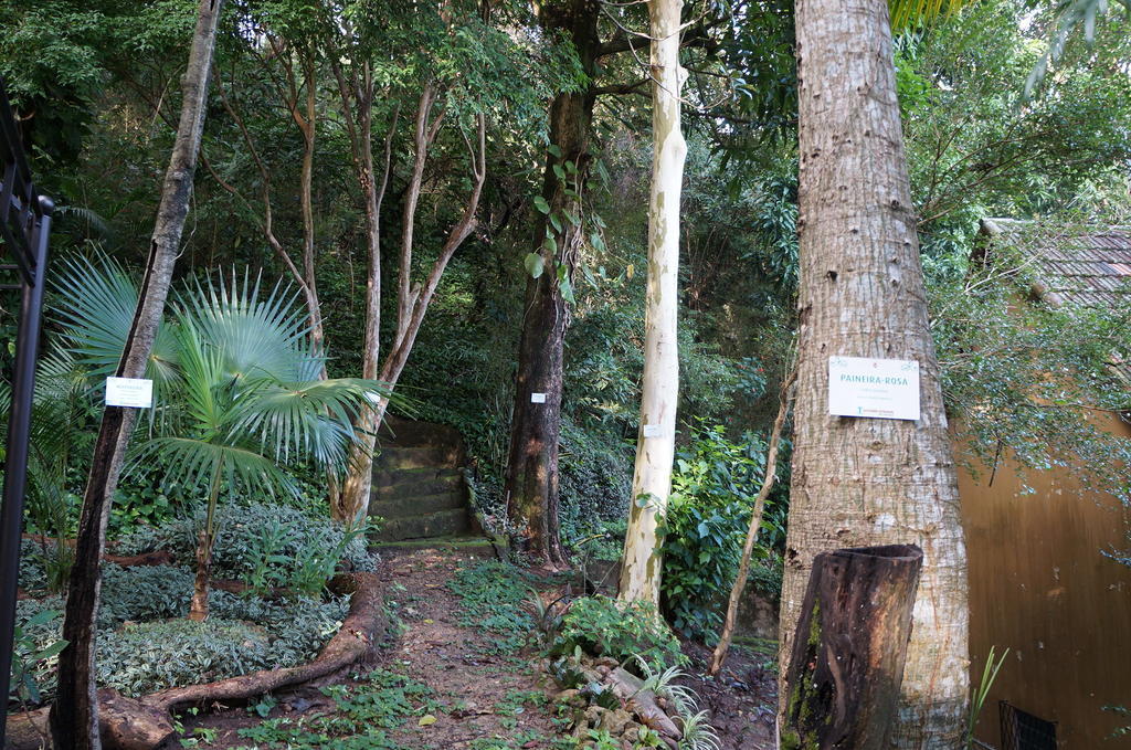 Casa Caminho Do Corcovado Nearchrist Redeemer Statue Rio de Janeiro Ngoại thất bức ảnh